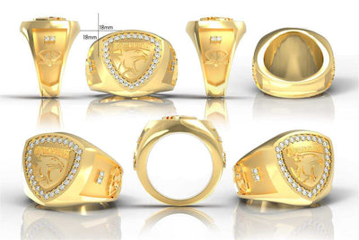 Guardians of Greatness rings. photorealistic design.