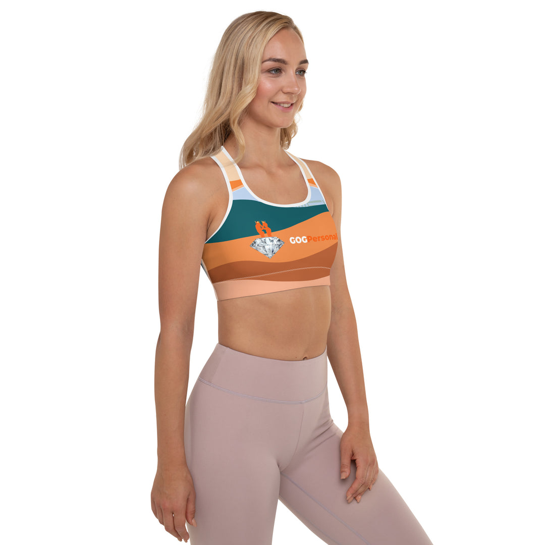 Padded Sports Bra